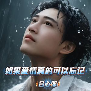 如果爱情真的可以忘记