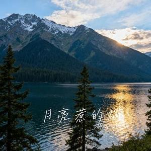月亮惹的祸 (Cover 张宇)