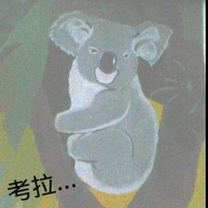 考拉