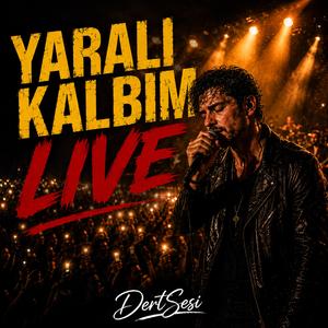 YARALI KALBİM