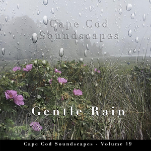 Cape Cod Soundscapes: Gentle Rain, Pt. 7