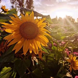 기다리다等待（吉他弹唱）