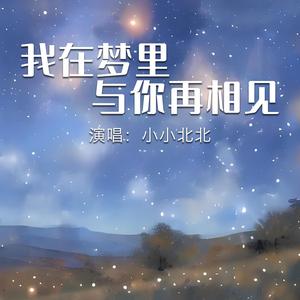我在梦里与你再相见