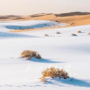 大沙漠如雪
