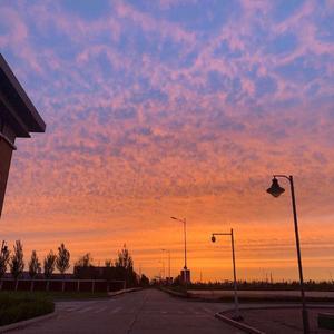 其实都没有（特别版）（翻自 陈东旭）