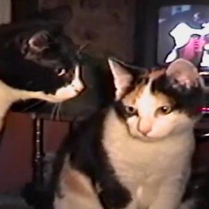 If I blink, will you still be there?