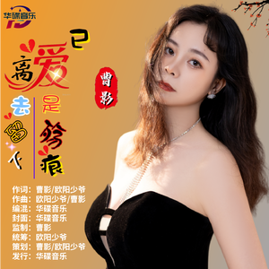 爱已离去留下是伤痕 伴奏