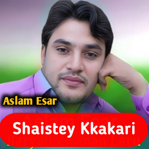 Shaistey Kkakari