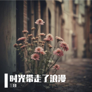 时光带走了浪漫