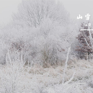山雪-整曲