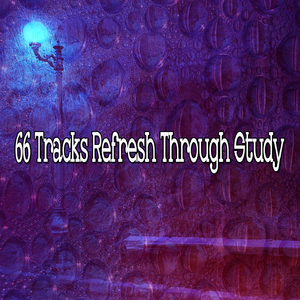 Rain in the Tree Tops