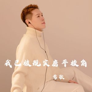 我已被现实磨平棱角