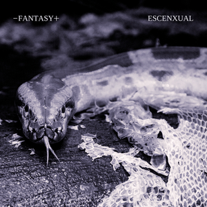 Fantasy