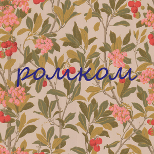Ромком
