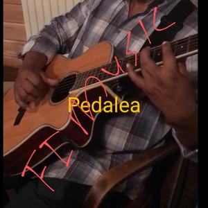 Pedalea