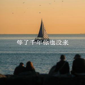 等了千年你也没来