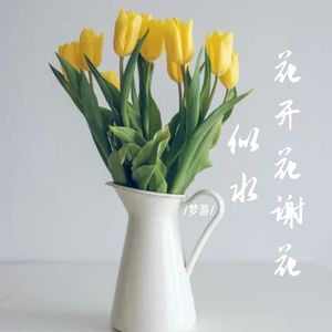 花开花谢花似水