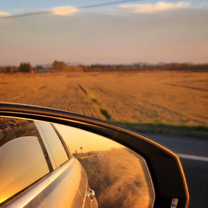 我只想教你晒太阳