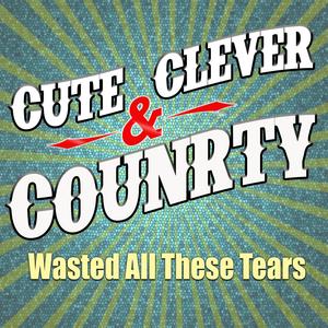 Wasted All These Tears