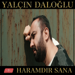 Bir Seni Sevdi