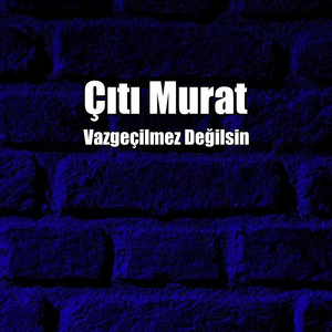 Vazgeçilmez Değilsin