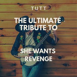 Tear You Apart (Originally Performed By She Wants Revenge)