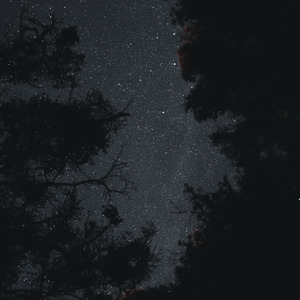 暗い夜