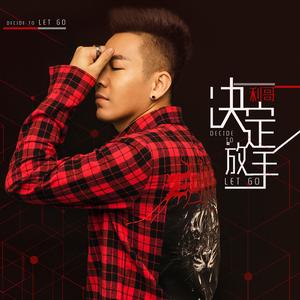 决定放手 (齐齐哈尔Dj小志 Remix)