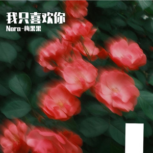 我只喜欢你
