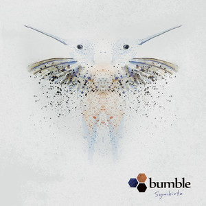 Looking Glass (Bumble Remix)