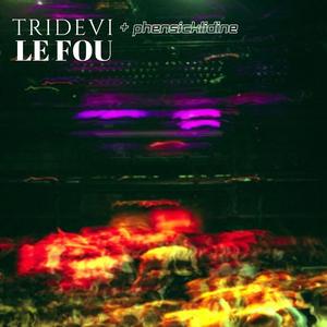 LE FOU (feat. Phensicklidine)