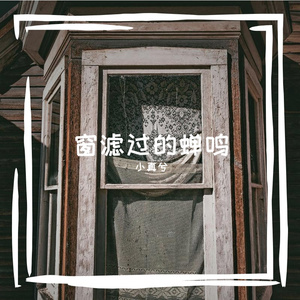 窗滤过的蝉鸣