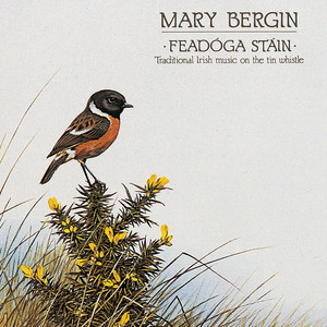 Rileanna: Ril Gan Ainm / Cinnte Le Dia (Ah Surely) / The Union Reel