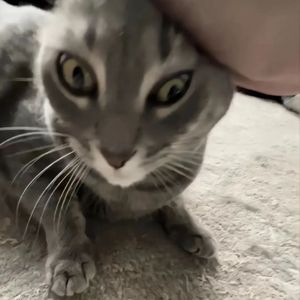 世上只有妈妈好