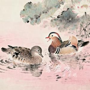 鸳鸯戏 (Cover 邓寓君 (等什么君))