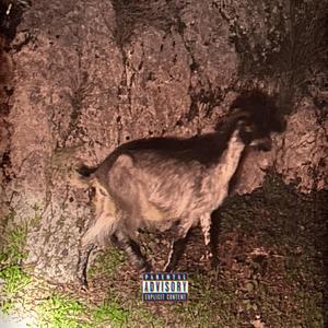 Cultura (feat. STYLO)