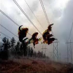 Evidence of a Higher Power