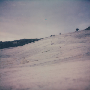 Life Lived in the Echoes of Emptiness