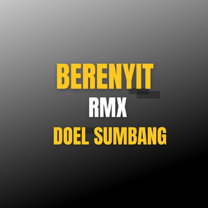 Berenyit Rmx