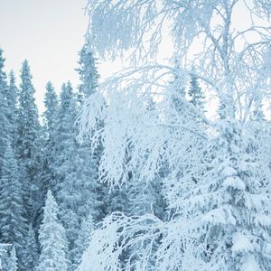 炊烟升起的丰碑