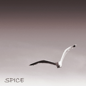 Spice (Original Mix)