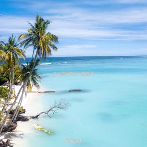 办公室工作爵士