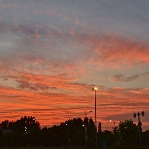 三月十六号以后