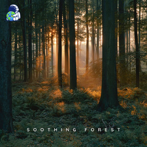 Soothing Forest