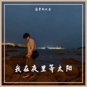 玫瑰少年