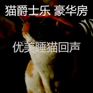 精彩小猫环境