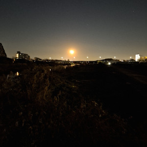 僕の人生　君の人生