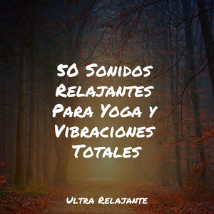 Sonidos Relajantes Del Mar