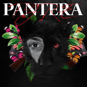 Pantera