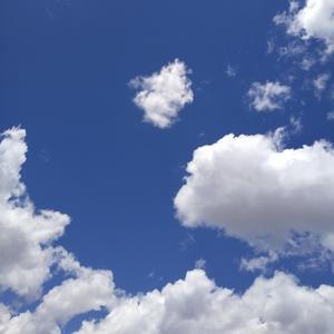 我就在这街头失去她（翻自刘凹）